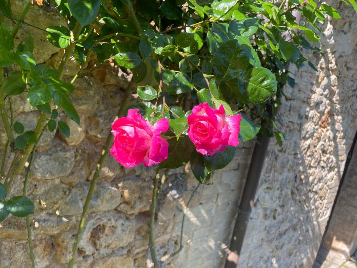 Castel Pietraio Villa Monteriggioni Dış mekan fotoğraf